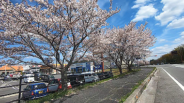 gx010772.mp4_snapshot_00.16_thumb.jpg