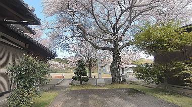 gx010775.mp4_snapshot_00.18_thumb.jpg