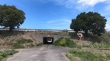 gx010776.mp4_snapshot_00.01_thumb.jpg