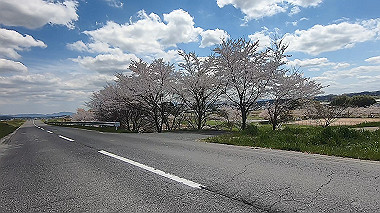gx010779.mp4_snapshot_00.07_thumb.jpg