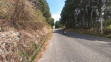 gx010810.mp4_snapshot_00.35_thumb.jpg