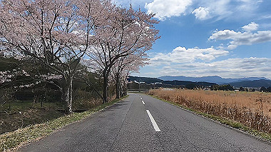 gx010812.mp4_snapshot_03.46_thumb.jpg