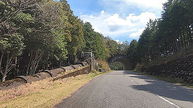 gx010813.mp4_snapshot_00.20_thumb.jpg