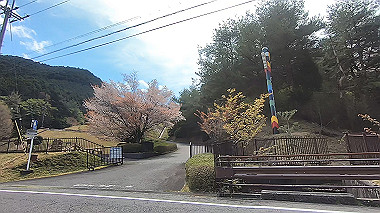 gx010817.mp4_snapshot_00.26_thumb.jpg