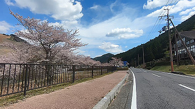 gx010817.mp4_snapshot_00.36_thumb.jpg