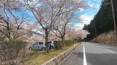 gx010818.mp4_snapshot_00.19_thumb.jpg