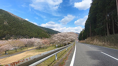 gx010818.mp4_snapshot_00.44_thumb.jpg