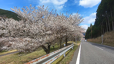 gx010818.mp4_snapshot_00.48_thumb.jpg