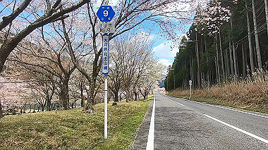 gx010818.mp4_snapshot_00.57_thumb.jpg