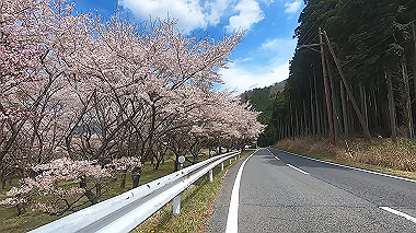 gx010818.mp4_snapshot_01.41_thumb.jpg