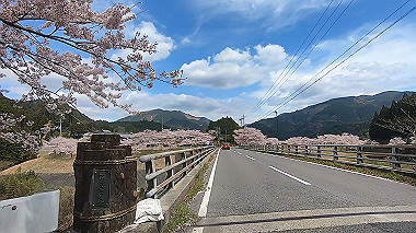 gx010819.mp4_snapshot_00.08_thumb.jpg