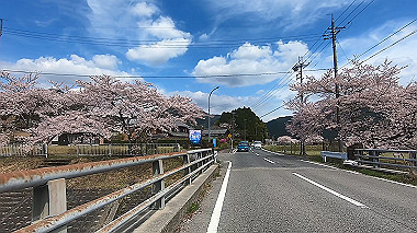 gx010819.mp4_snapshot_00.23_thumb.jpg