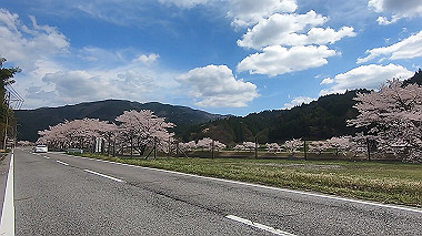 gx010819.mp4_snapshot_00.56_thumb.jpg