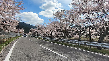 gx010820.mp4_snapshot_00.25_thumb.jpg