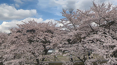 gx010822.mp4_snapshot_00.08_thumb.jpg