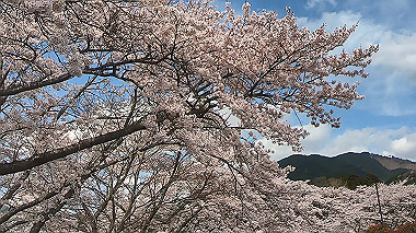 gx010822.mp4_snapshot_01.08_thumb.jpg