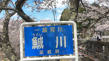 gx010822.mp4_snapshot_02.02_thumb.jpg