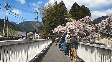 gx010823.mp4_snapshot_00.03_thumb.jpg