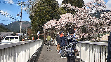 gx010823.mp4_snapshot_00.22_thumb.jpg