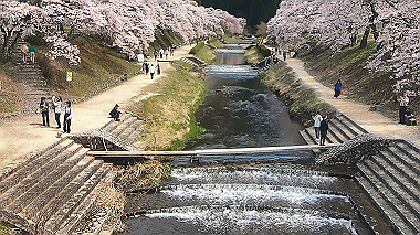gx010824.mp4_snapshot_00.01_thumb.jpg