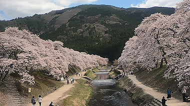 gx010824.mp4_snapshot_00.17_thumb.jpg