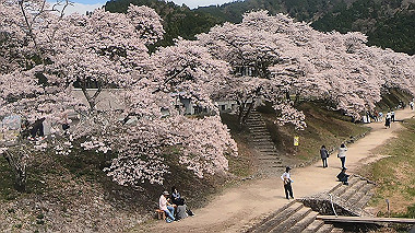 gx010824.mp4_snapshot_00.23_thumb.jpg