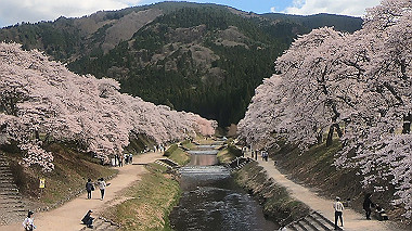 gx010824.mp4_snapshot_00.31_thumb.jpg
