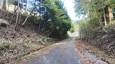 gx010829.mp4_snapshot_01.37_thumb.jpg
