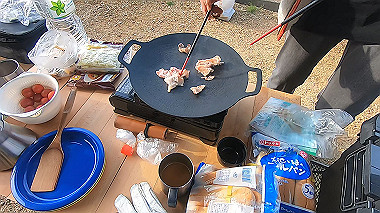 gx010831.mp4_snapshot_00.08_thumb.jpg