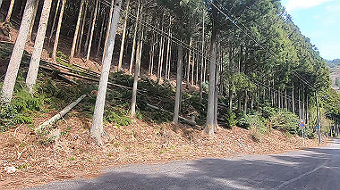 gx010842.mp4_snapshot_00.01_thumb.jpg