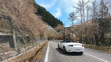 gx010847.mp4_snapshot_00.36_thumb.jpg