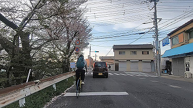 gx010981.mp4_snapshot_01.35_thumb.jpg