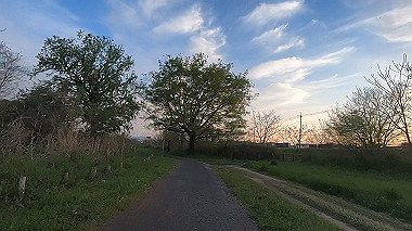 gx010984.mp4_snapshot_03.22_thumb.jpg