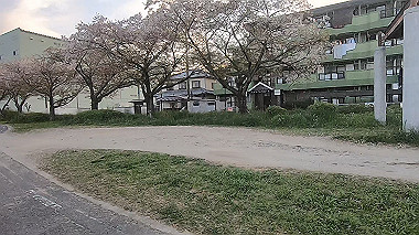 gx010985.mp4_snapshot_01.10_thumb.jpg