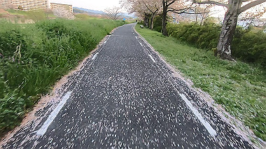 gx010986.mp4_snapshot_00.20_thumb.jpg
