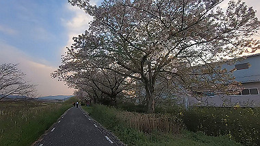 gx010986.mp4_snapshot_00.32_thumb.jpg