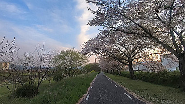 gx010986.mp4_snapshot_00.53_thumb.jpg