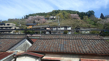 p4120002_thumb.jpg