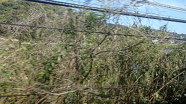 p4120008_thumb.jpg