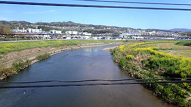 p4120012_thumb.jpg