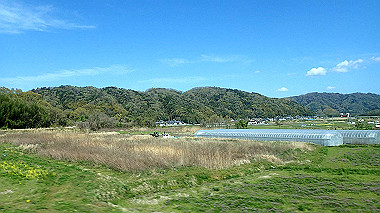 p4120022_thumb.jpg