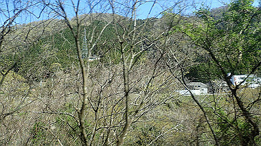 p4120024_thumb.jpg