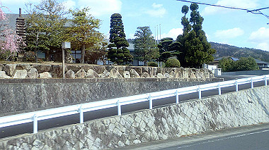 p4120058_thumb.jpg