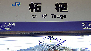 p4120074_thumb.jpg