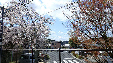 p4120121_thumb.jpg