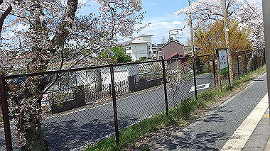 p4120122_thumb.jpg