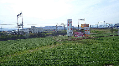 p4130233_thumb.jpg