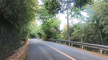 gx011012.mp4_snapshot_00.16_thumb.jpg