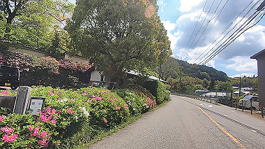 gx011015.mp4_snapshot_00.10_thumb.jpg