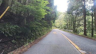 gx011021.mp4_snapshot_04.17_thumb.jpg